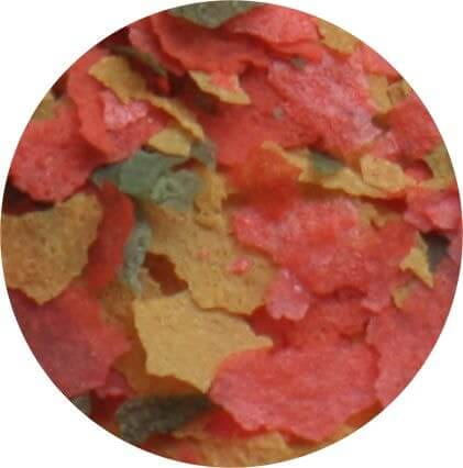 HS OSI Vivid Color Flakes 5L Pokarm wybarwiający dla ryb