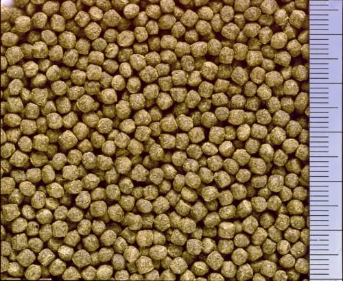 Hikari Cichlid Staple Baby 57g – pielęgnice