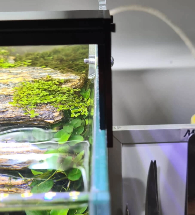 LED Slim 36W Oświetlenie do akwarium 80cm