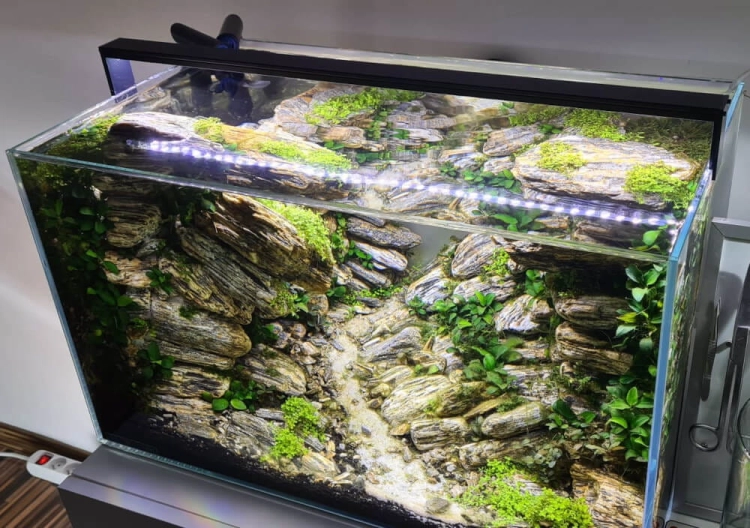 LED Slim 36W Oświetlenie do akwarium 80cm