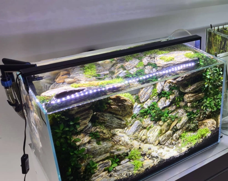 LED Slim 36W Oświetlenie do akwarium 80cm