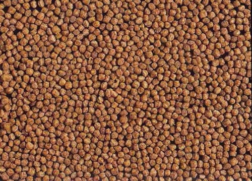 Hikari Cichlid Gold Baby 250g - Pokarm pielęgnice