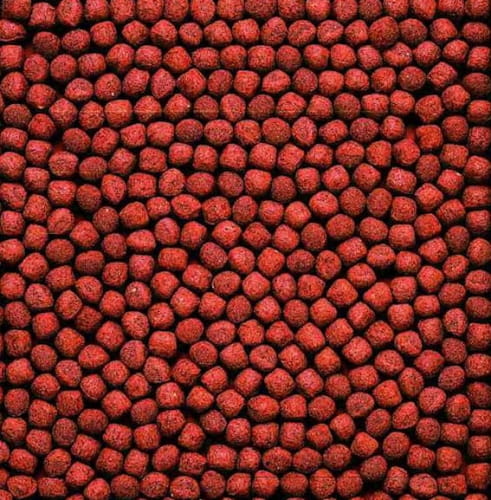 Hikari Cichlid Gold Medium 250g - Pokarm pielęgnice