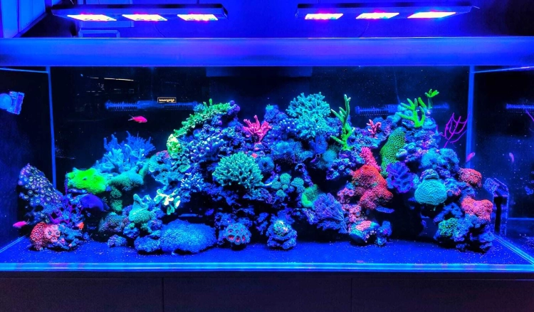 Mitoja Marine 150.jpg