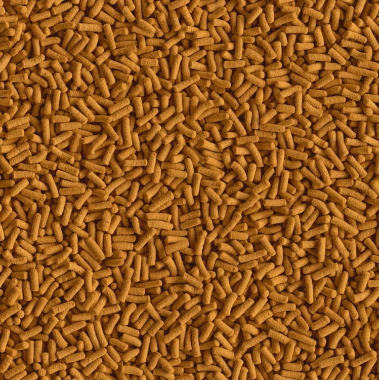 Tetra Cichlid Sticks 10L - 2,9kg Pokarm dla pielęgnic