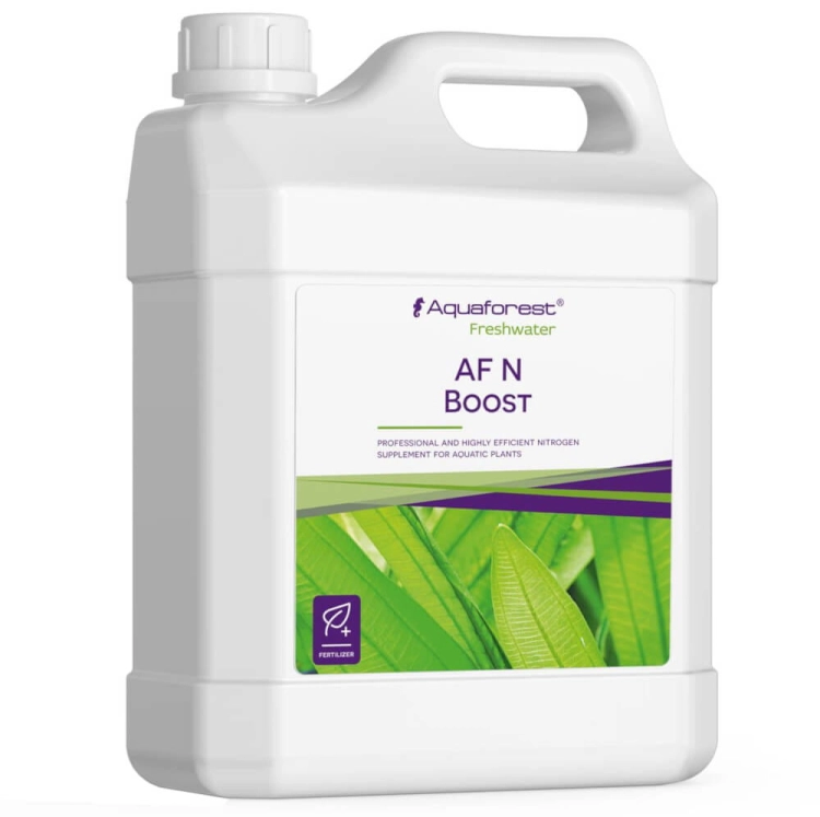 AF_N_BOOST_2L