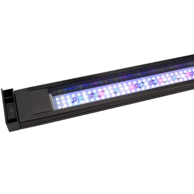 Fluval Siena 330 Akwarium zestaw LED biały