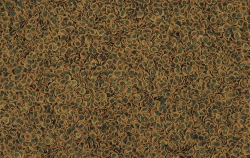 TetraPro Algae 1 l - 190g pokarm z koncentratem alg