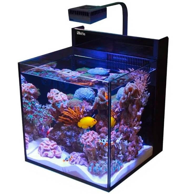 Red Sea Max Nano Reef System 75l Zestaw akwarium morskie + biała szafka