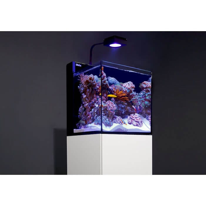 Red Sea Max Nano Reef System 75l Zestaw akwarium morskie + biała szafka