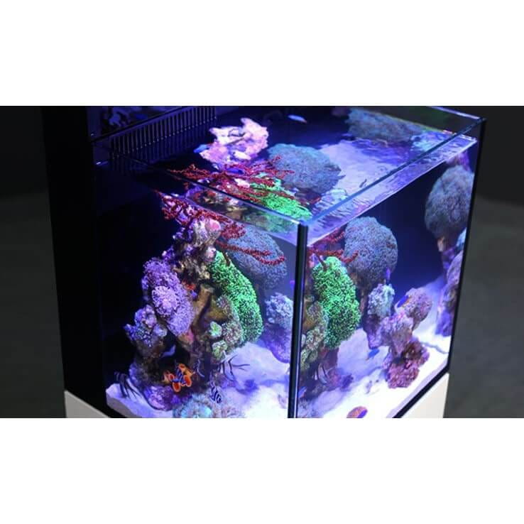 Red Sea Max Nano Reef System 75l Zestaw akwarium morskie + biała szafka