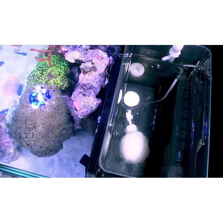 Red Sea Max Nano Reef System 75l Zestaw akwarium morskie + biała szafkaium + wyposażenie