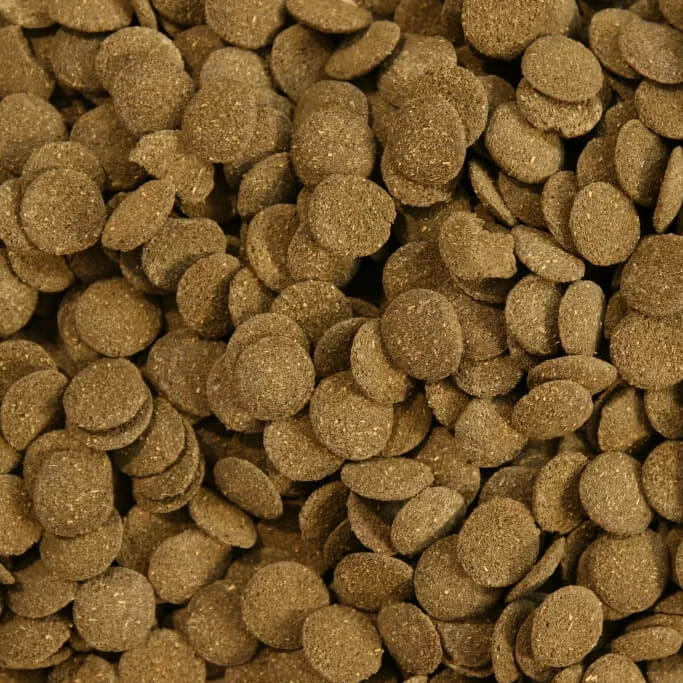 ALGEN_WAFERS_100G_UZU