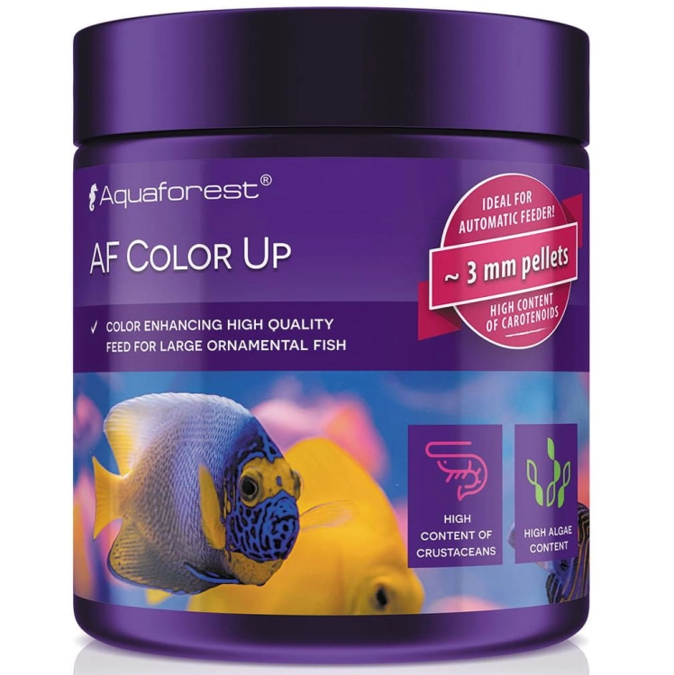 COLOR_UP_100G
