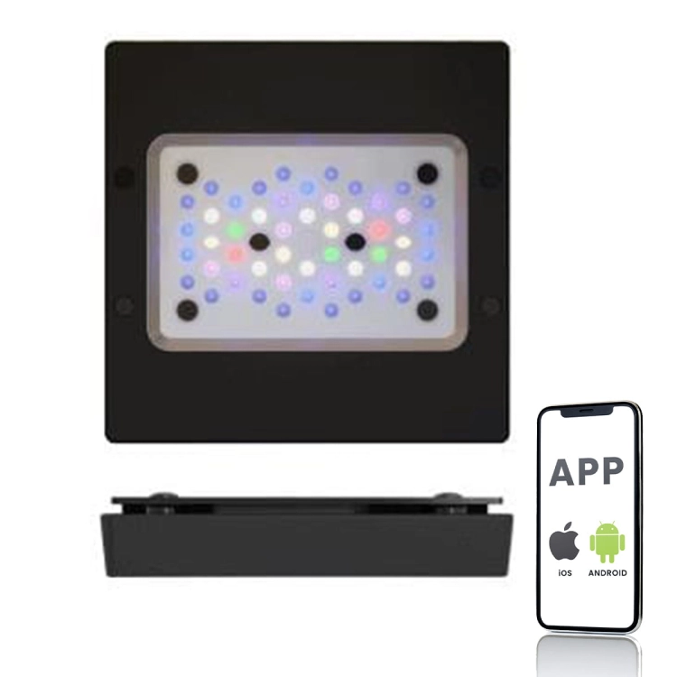 RADION_XR15G6_PRO