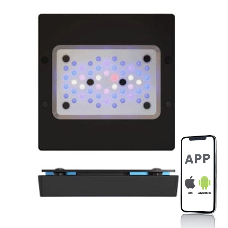 RADION_XR15G6_BLUE