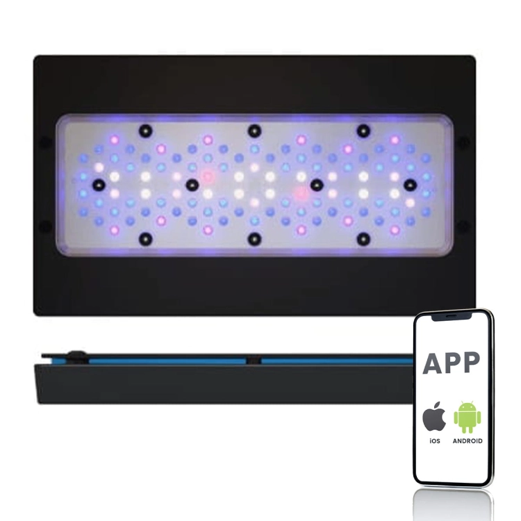RADION_XR30G6_BLUE
