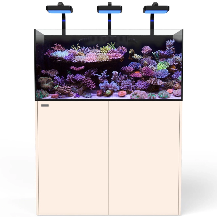 AF605_warm-sand-FRONT-CLOSED.jpg