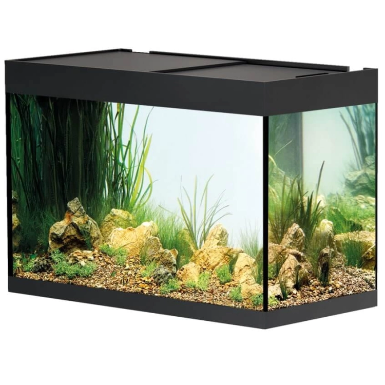 Oase StyleLine 175 LED czarny zestaw akwarium + szafka