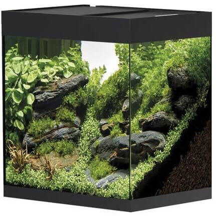 Oase StyleLine 85 LED czarny zestaw akwarium + szafka