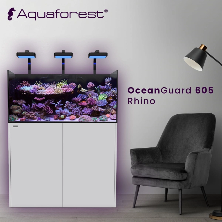 OG 605 Rhino.jpg