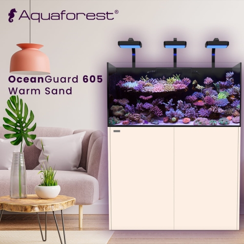 OG 605 Warm Sand.jpg