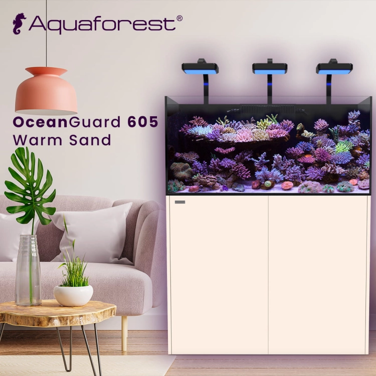 OG 605 Warm Sand.jpg