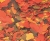 SUPER_VIT_1L_190G_UZU