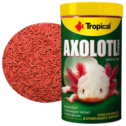 axolotl2.jpg