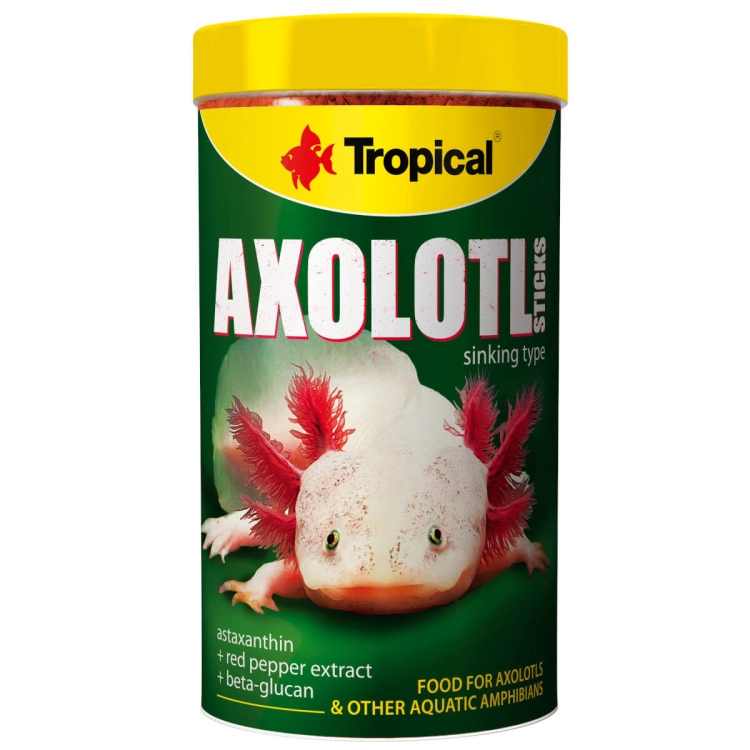 axolotl (2).jpg
