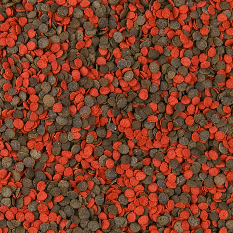 Cichlid Chips-100%.jpg