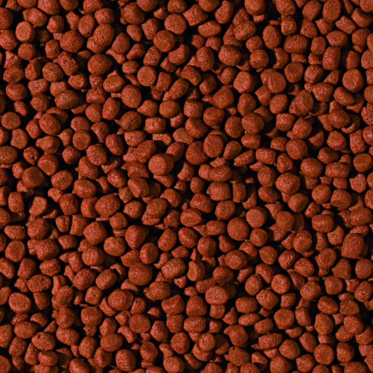 Tropical Cichlid Carnivore Medium Pellet 500ml - 180g Pokarm dla pielęgnic