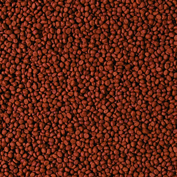 Tropical Cichlid Carnivore Small Pellet 250ml - 90g Pokarm dla pielęgnic
