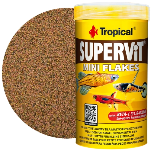 77113