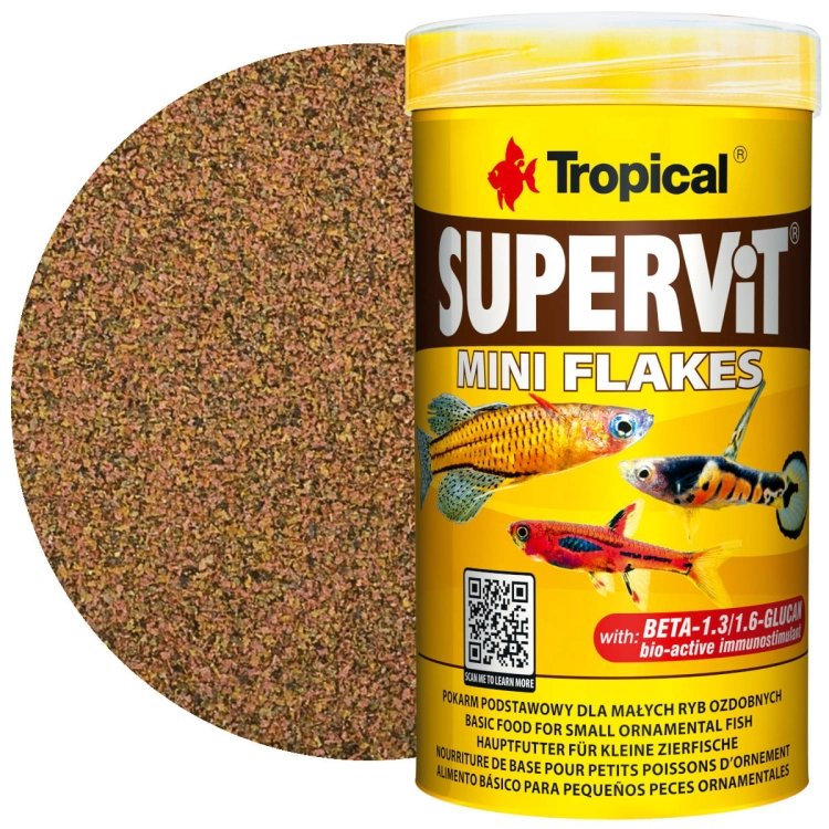 77113