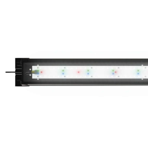 Juwel Vision 260 Helialux Spectrum biały akwarium + szafka