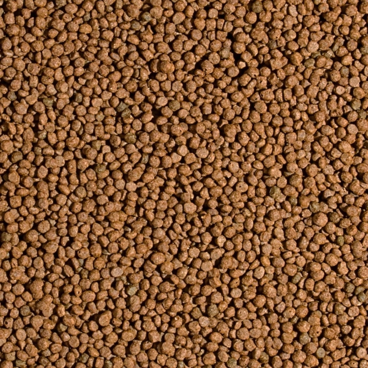 Tropical Koi Probiotic Pellet S 1L - 320g Pokarm probiotyczny dla karpi koi