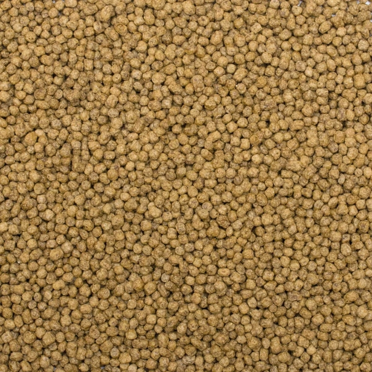 Tropical Koi Silkworm&Astaxanthin S 1L - 320 g Pokarm dla karpi Koi
