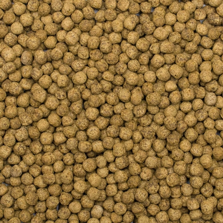Tropical Koi Silkworm&Astaxanthin M 1L - 320g Pokarm dla karpi Koi