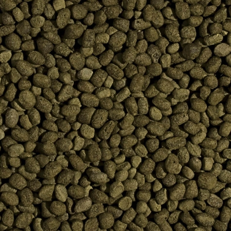 Tropical Koi Spirulina Pellet S 5L / 1,5kg Pokarm dla ryb