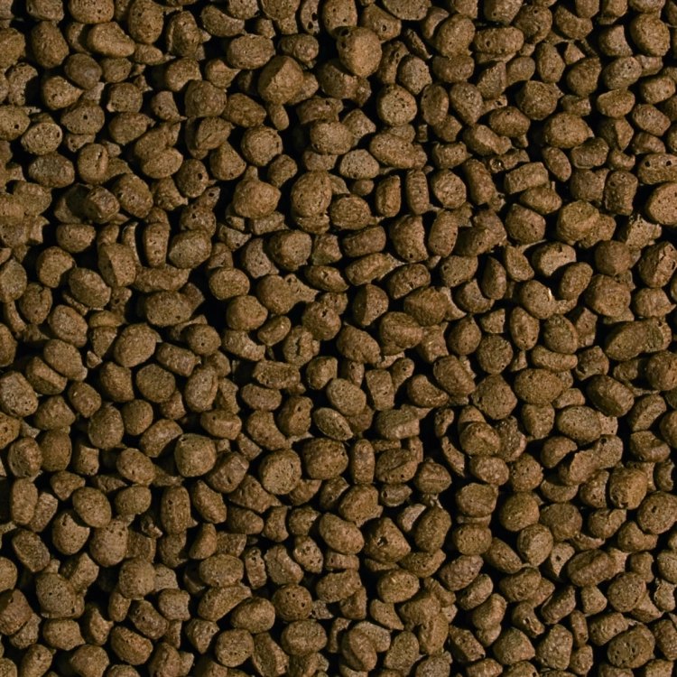 Tropical Koi Wheat Germ&Garlic Pellet S 1000 ml/320g Pokarm dla ryb