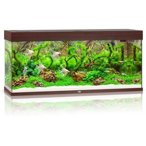 Juwel Rio 240 Helialux Spectrum zestaw akwarium + szafka ciemne drewno