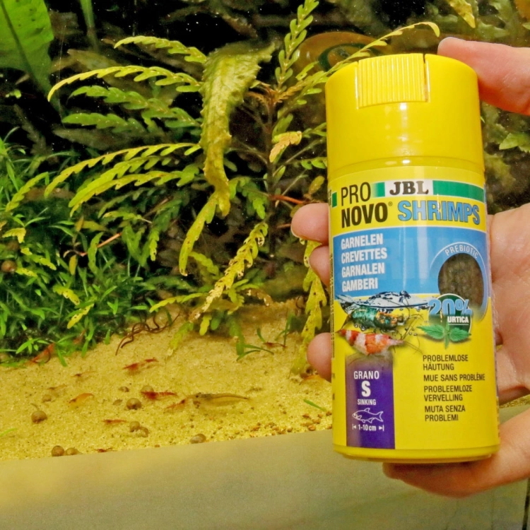 JBL Pronovo Shrimp Grano S 100ml - 58g Pokarm dla krewetek