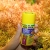 JBL Pronovo Color Flakes M 100ml Pokarm wybarwiający dla ryb