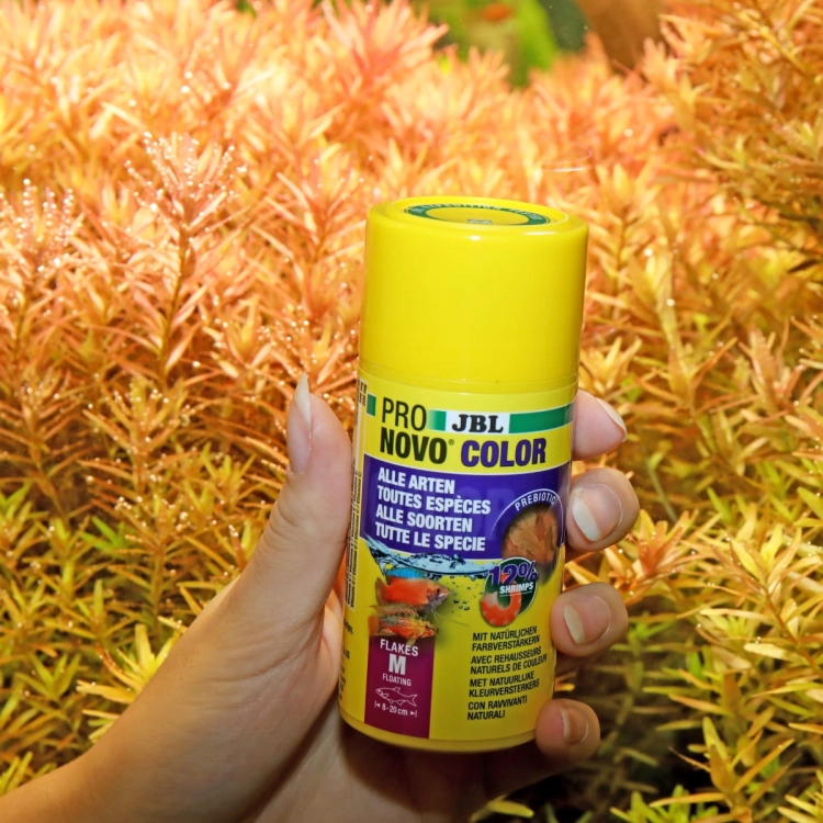 JBL Pronovo Color Flakes M 250ml Pokarm wybarwiający dla ryb