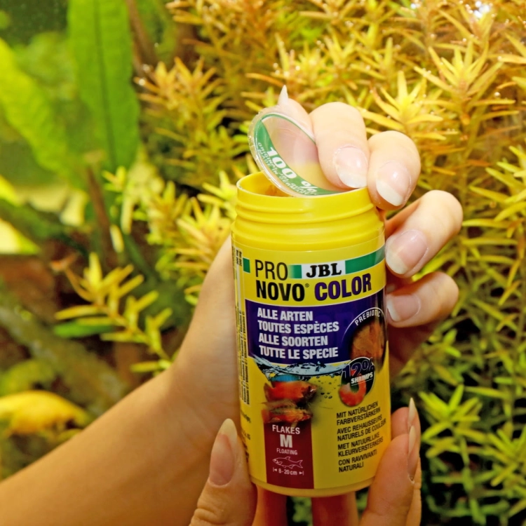 JBL Pronovo Color Flakes M 250ml Pokarm wybarwiający dla ryb