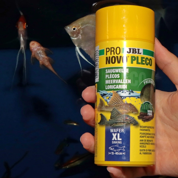 JBL Pronovo Pleco Wafer M 1000ml Pokarm dla glonojadów