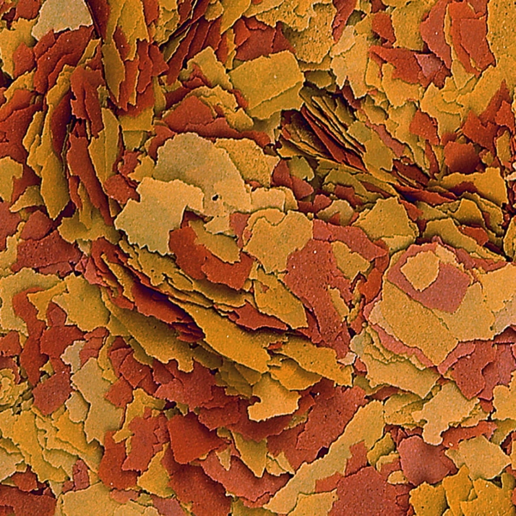VITAL_COLOR_1L_UZUP