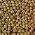 Hikari Cichlid Staple Medium 250g - Pokarm dla pielęgnic