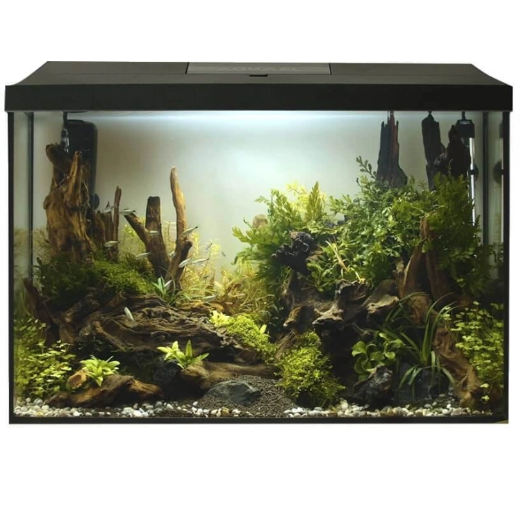 Aquael Leddy XL Day&Night 40 2.0 LED zestaw akwarium